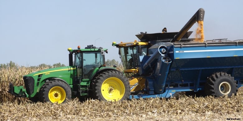 Mixed fleet of machinery harvesting corn